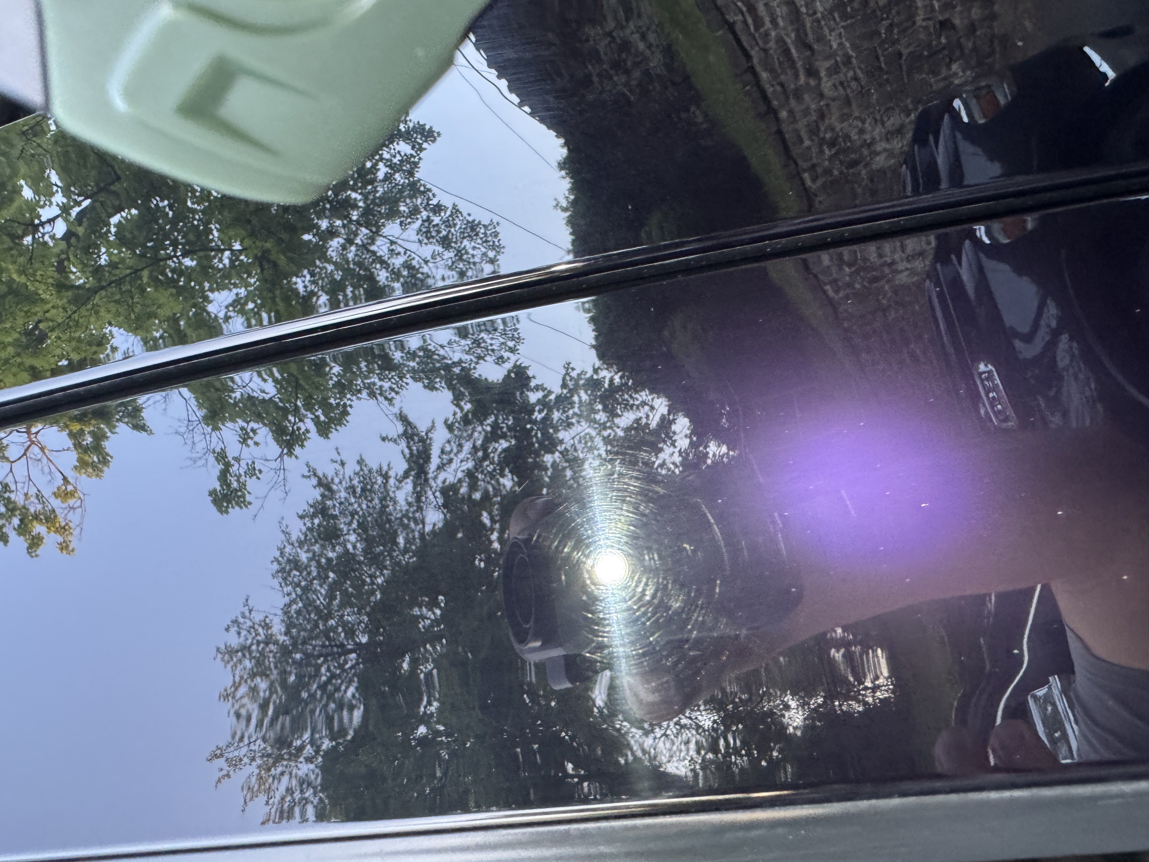 Polished vehicle paint reflection